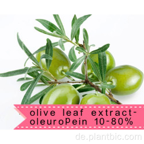 HPLC Olivenblattextrakt Oleuropein 20% 98%